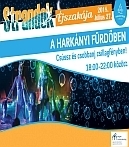 Strandok Éjszakája