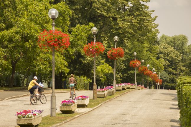 Zsigmondy sétány és park